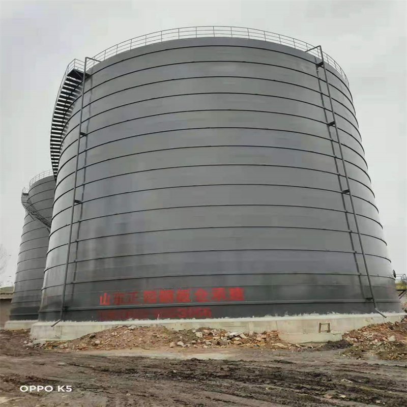 秦淮3万吨大型钢板库