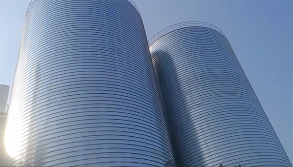 秦淮2座混凝土高架卷板仓